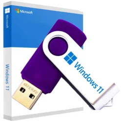 Bootable USB WINDOWS 11 professional NO TPM NO SECURE BOOT