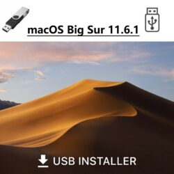 APPLE MAC OS X 11.1 BIG SUR Recovery Repair reinstall USB Drive