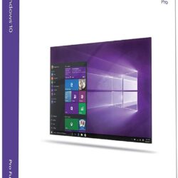 Microsoft Windows 10 Professional Product License Activation Key
