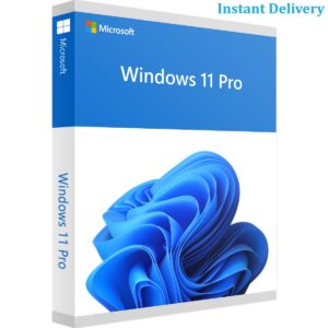 Microsoft Windows 11 Professional Product License Activation Key