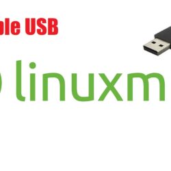 Linux Mint 22.1 Live USB – Bootable & Ready to Use